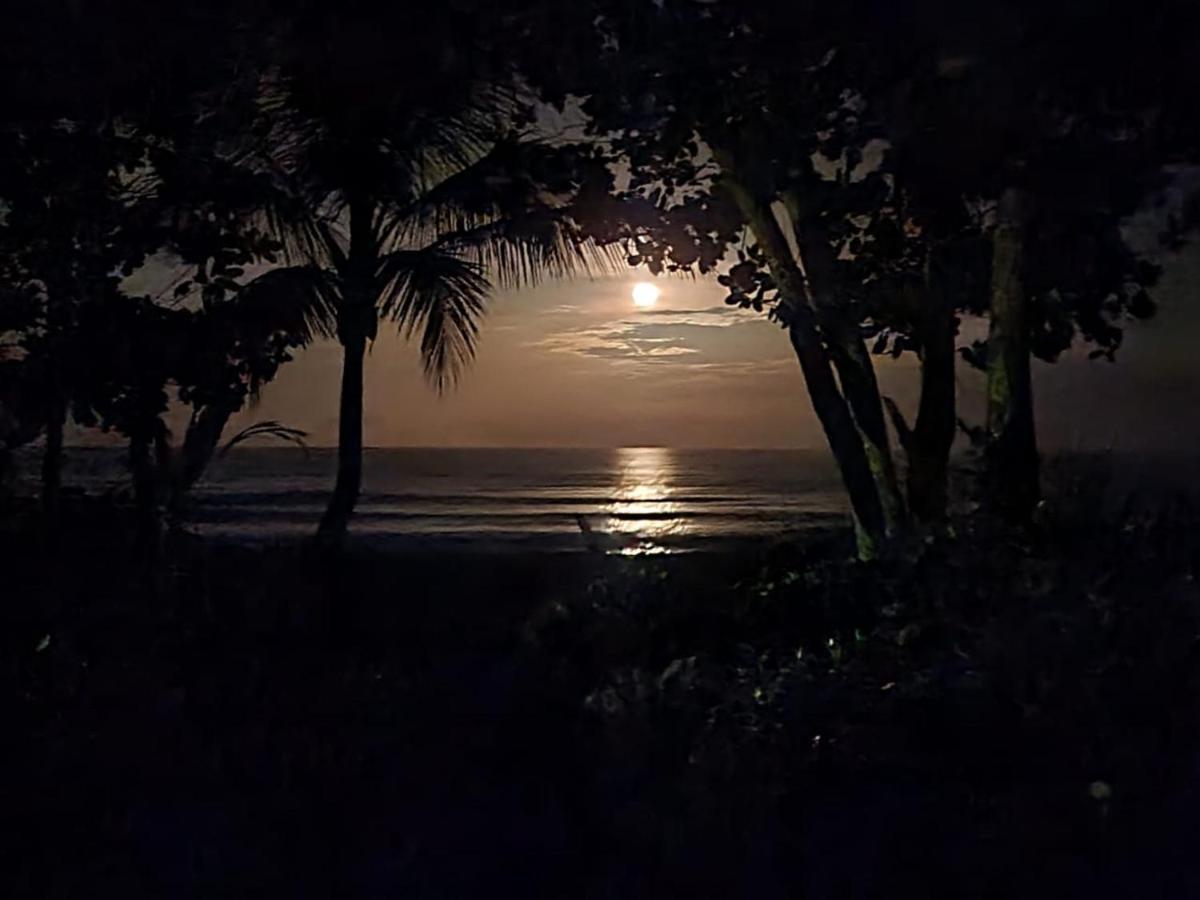 Cabinas El Muellecito Tortuguero Eksteriør bilde