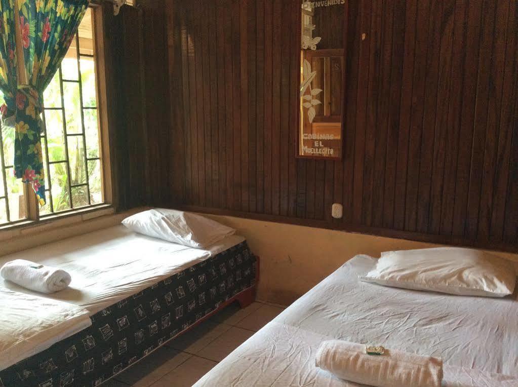 Cabinas El Muellecito Tortuguero Eksteriør bilde